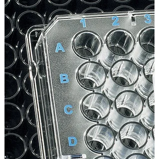 cplabsafety-1202607122100111013218