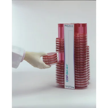 cplabsafety-1202607130312581050009