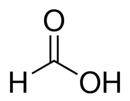cplabsafety-1202607140047491155366