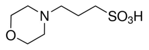 cplabsafety-1202607140226521162344
