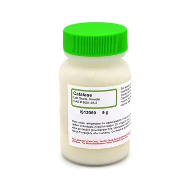 cplabsafety-1202607140247081164132