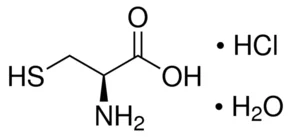 cplabsafety-1202607140538031178228