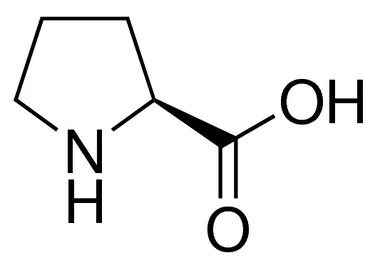 cplabsafety-1202607140559271179898