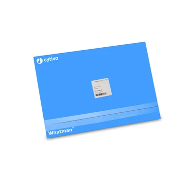 cplabsafety-2202607132205131142140
