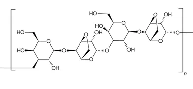 cplabsafety-2202607140527381177519