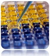 cplabsafety-2202607140926081197894