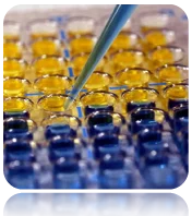 cplabsafety-2202607141019501202132