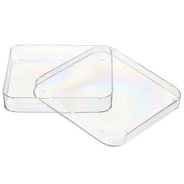 cplabsafety-2202607141417481221633