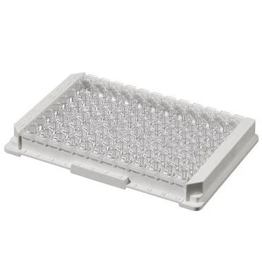 cplabsafety-2202607141655171236185