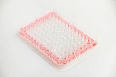 cplabsafety-2202607141700191236697