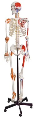 cplabsafety-2202607141706271237280