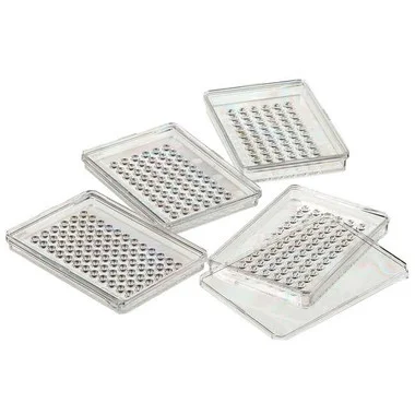 cplabsafety-2202607141725191239148
