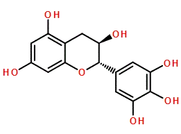cplabsafety-2202607141825161246512