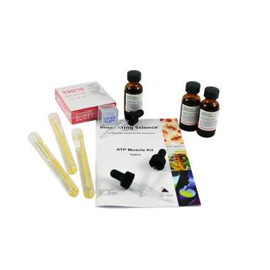 cplabsafety-2202607142206371270551