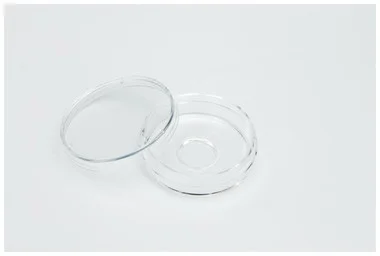cplabsafety-2202607142230381274109
