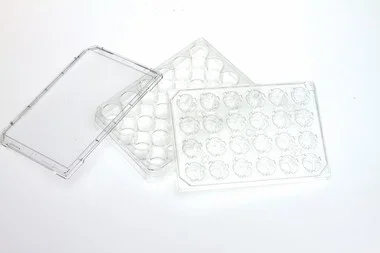 cplabsafety-2202607142350511286423