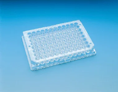 cplabsafety-2202607142352241286640