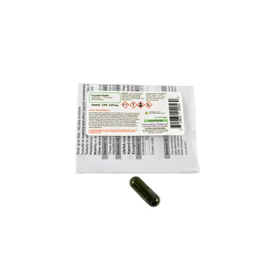 cplabsafety-2202607150103361295677