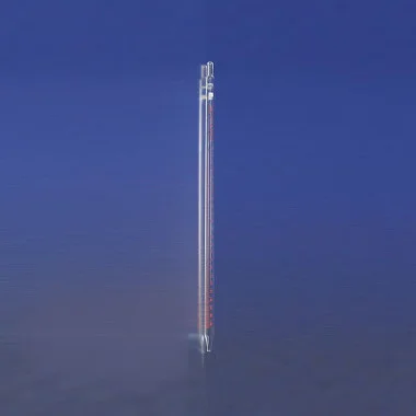 cplabsafety-2202607150159301305394