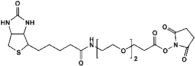 cplabsafety-320260712175901993944