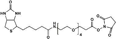 cplabsafety-3202607122004301006920