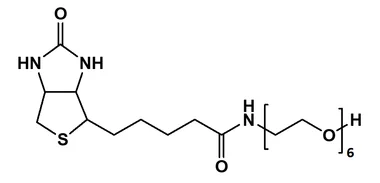cplabsafety-3202607122345211031801