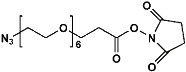 cplabsafety-3202607130024401035944