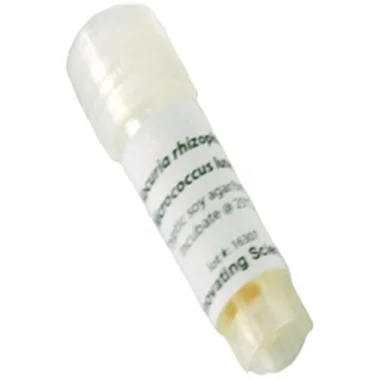 cplabsafety-3202607130535431060028
