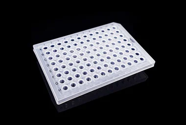 cplabsafety-3202607131038331078145