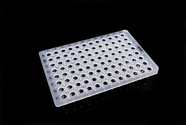 cplabsafety-3202607131111341081536
