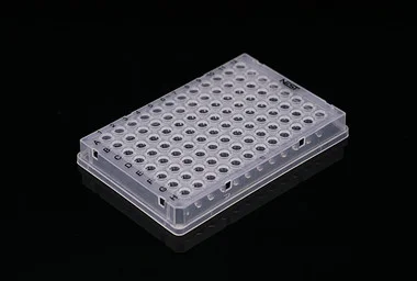 cplabsafety-3202607131120561082464