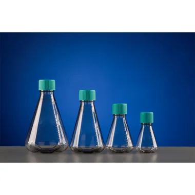 cplabsafety-3202607131213321087373