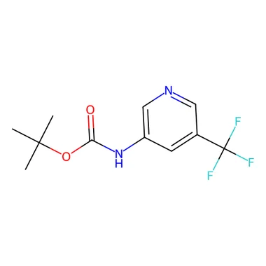 cplabsafety-3202607131214121087430