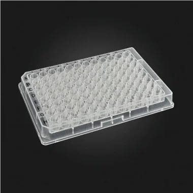 cplabsafety-3202607131241021089604