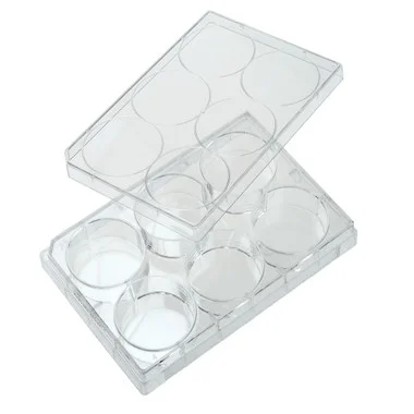 cplabsafety-3202607131246181089997