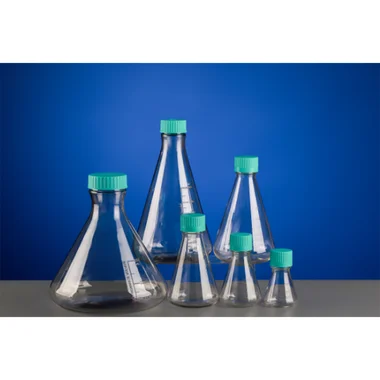 cplabsafety-3202607131309511091828