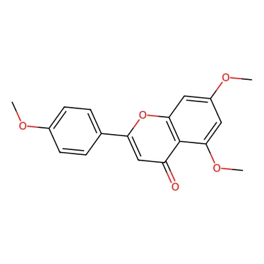 cplabsafety-3202607131332301093622