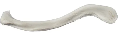 cplabsafety-3202607131406261096546