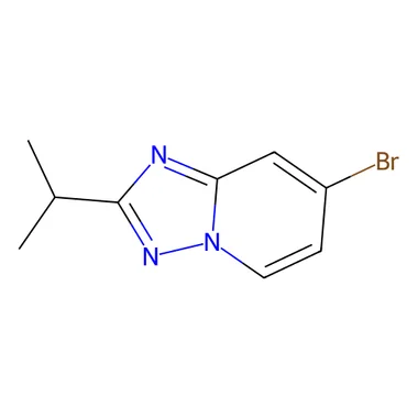 cplabsafety-3202607131511331100858