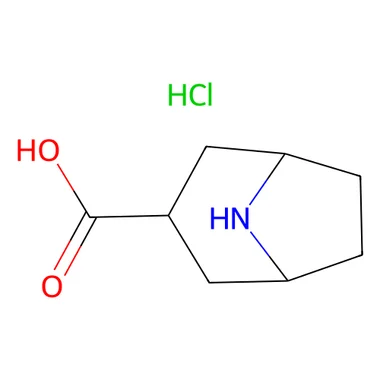 cplabsafety-3202607131520321101612