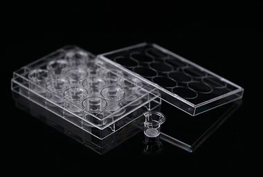 cplabsafety-3202607131525301102040