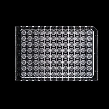 cplabsafety-3202607131529531102359
