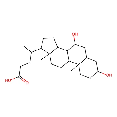cplabsafety-3202607131646031108873