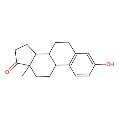 cplabsafety-3202607131701281110221