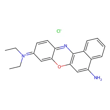 cplabsafety-3202607131706161110764