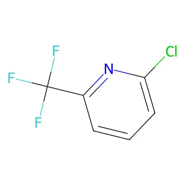 cplabsafety-3202607131708301110962