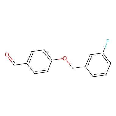 cplabsafety-3202607131803011116913