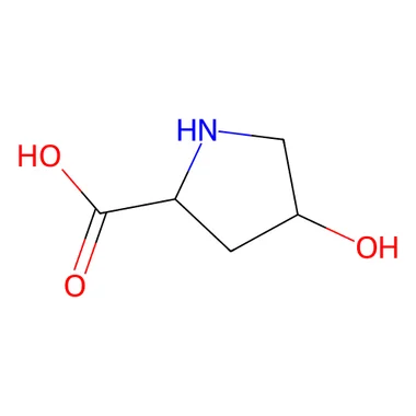 cplabsafety-3202607131807231117375