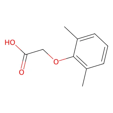 cplabsafety-3202607131910041123857