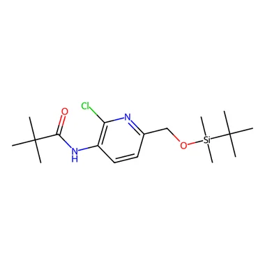 cplabsafety-3202607131914351124225